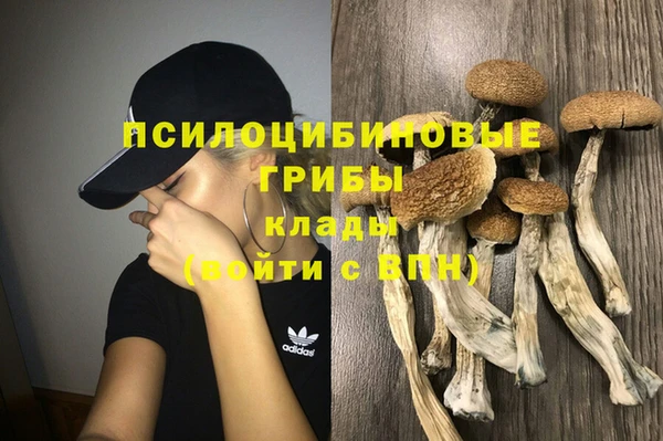 скорость Абаза