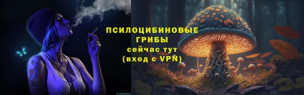 скорость Абаза