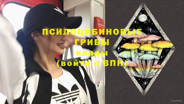 скорость Абаза