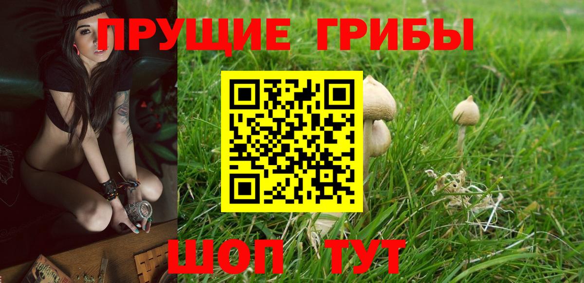 Гусь-Хрустальный  Галлюциногенные грибы MAGIC MUSHROOMS  Вход с VPN  Псилоцибиновые грибы мицелий 