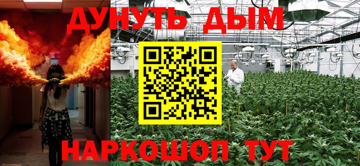 Бошки марихуана Bruce Banner  Марихуана AK-47  Бошки марихуана семена  Вход с VPN  Гусь-Хрустальный 